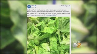 60 People Sickened In 16 States From Bad Lettuce [upl. by Ailemrac]