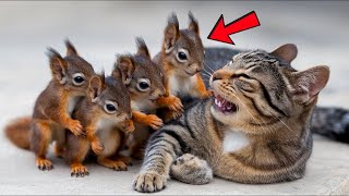 Tiny Squirrels Lost Their Mother Grow Up With A Cat  Now They Become Inseparable [upl. by Neelahtak204]