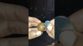 Macadamia Nut How to Open Tutorial [upl. by Mahgirb]