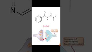 Iproniazid history in hindi [upl. by Aliuqat]