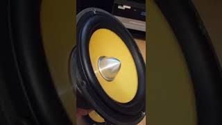 Focal K2 Power 6K2P3 мидбас [upl. by Maure]