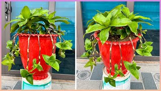 Elevate your garden with spectacular potted plants You wont believe what happens next [upl. by Niabi]