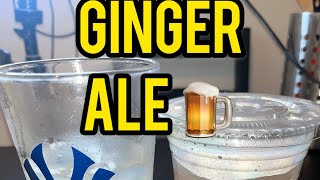 Ginger Ale 🍺 gingerale ginger gingerbeer drinks concoction remedy remedies natural organic [upl. by Goodden]