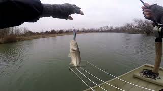 Best Jerkbait of all Time MegaBass Ito Vision 110 JR Plus 1 Cold Clear Water To Many Bass to Count [upl. by Tuttle483]