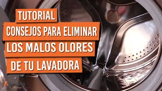 5 consejos para eliminar el mal olor de la lavadora [upl. by Braden190]