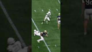 Tyler Buchner Fake Punt Extension shorts football notredame trending [upl. by Lampert]