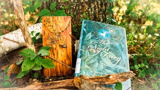 The Perfect Fairy Book for Kids  The Night Fairy [upl. by Trueman]