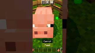 Minecraft pig like and subscribe please 🥺🥺 minecraft viral shorts trending [upl. by Dorweiler523]