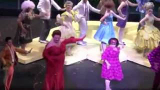 Hairspray National Tour Edna Turnblad Montage [upl. by Kristopher506]