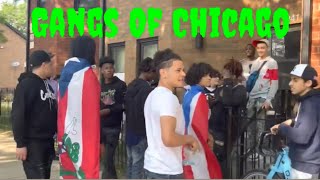 Gangs Of Chicago Compilation 2024 [upl. by Kellda]