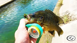 Fishing a Tiny Ditch  Rodless Reel  Survivor Series [upl. by Iam273]