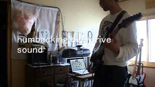 DiMarzio PAF Pro DP151F Bridge Position sound check with MG10CD [upl. by Moclam638]