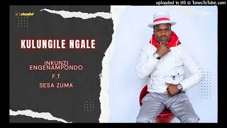 Maskandi kulungile ngale by inkunzi engenampondo ft Sesa Zuma trendingsong viralvideo [upl. by Aoh67]