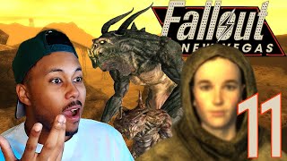 NEW VAULTS NEW ENEMIES AND NEW COMPANIONS  Fallout New Vegas  Part 11 [upl. by Vogel517]