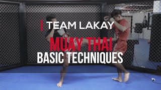 MUAY THAI  2 MUAY THAI STRIKING COMBINATIONS  Team Lakay Instructionals [upl. by Jehias204]