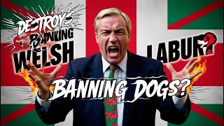 Nigel Farage DESTROYS Welsh Labour’s Plan to Ban Dogs [upl. by Eenert445]