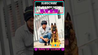 Durlabh Bhai trending short video viral short video king of ujjain gang gangster song 😈😈 [upl. by Franzen]