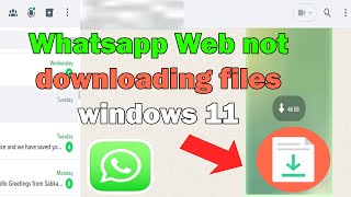 how fix Whatsapp Web not downloading files windows 11 [upl. by Okin272]