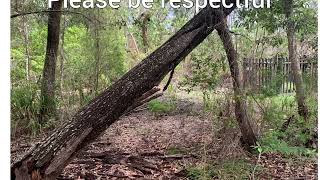 Lost Grave Inskip point Qld by Alan Keith [upl. by Acissaj]