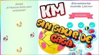 como hacer KM en pokemon go sin moverte [upl. by Pinelli759]