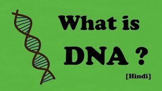 What is DNA  Hindi [upl. by Benedikt568]