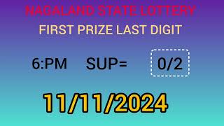 First Prize Last Digit 111124 Nagaland State Lottery Target Number Lottery Sambad Target Number [upl. by Grenville675]