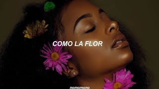 Selena  Como La Flor  letra [upl. by Ehud]