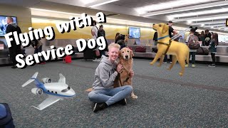 Flying with a Service Dog  Guide Dog Edition [upl. by Audly40]