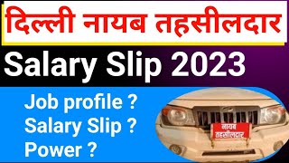 DDA  Delhi Naib Tahsildar Salary Slip 2023 कैसे बनें Promotion  power  Job profile [upl. by Kinata]