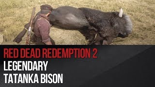 Red Dead Redemption 2  Legendary Tatanka Bison [upl. by Piane686]