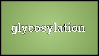 Glycosylation Meaning [upl. by Adlei226]