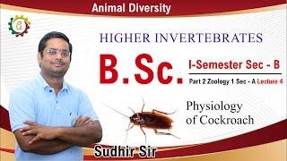 Physiology of Cockroach  Higher Invertebrates  BSc ISemester Zoology Sec B Lecture 4 [upl. by Creamer]