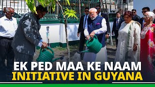 LIVE PM Modi takes part in Ek Ped Maa Ke Naam initiative in Guyana [upl. by Nelram]