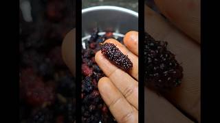 This Improves Red blood cells Wow So many Healthy Benefits 👌😋 mulberryfruit lkteluguvlogs 🔔 [upl. by Esaj]