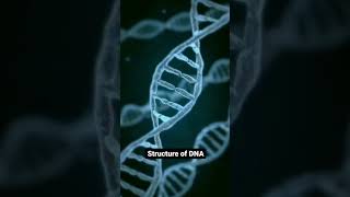 The Structure of DNA [upl. by Juanne694]