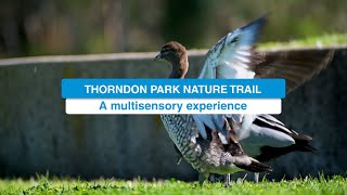 New Thorndon Park Nature Trail [upl. by Osher753]