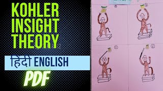 Kohler insight theory [upl. by Ozneral]