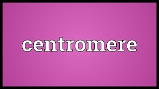 Centromere Meaning [upl. by Asaert]