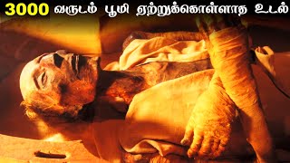 கொடுங்கோல் மன்னனுக்கு நடந்த சம்பவம்  Firaun Pharaoh Documentary  Mummy History Tamil [upl. by Nautna634]