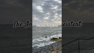 texel island travel trip travelblogger inseln shorts tripshorts dmitrygladkov sea nature [upl. by Lilla]