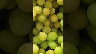 Uvas Aliadas Naturales para un Corazón Saludable uvas beneficios cardiovascular saludable [upl. by Yrahcaz]