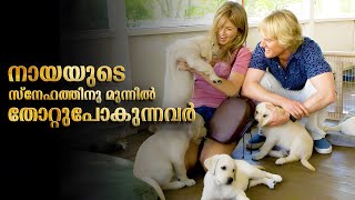 Marley amp Me Movie Malayalam Explained  Marley amp Me Movie explained in Malayalam malayalam movies [upl. by Halil]