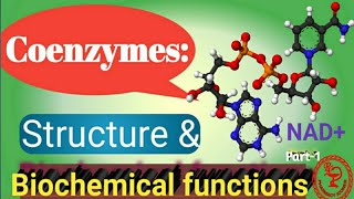 Coenzymes  Structure and Biochemical Functions I Part1 [upl. by Holofernes557]