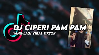 DJ Ciperi Pam Pam X Maimunah Viral TikTok 2022 Bluesky Asia Remix [upl. by Yslehc803]