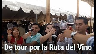 De tour por la ruta del vino Valle de Guadalupe Baja California [upl. by Lalaj582]