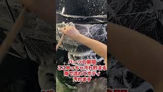 洗車で薬剤だけじゃなくて道具もあるとええよって動画 洗車 automobile 車好きと繋がりたい 洗車 車好きと繋がりたい 洗車用品 [upl. by Haimarej32]