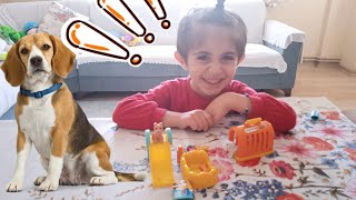 oyun videolari eglencelj çocuk videosu fun kids videosu köpek pet seti [upl. by Ardnaet]