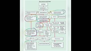 Approach to Azotemia Harrison [upl. by Ianteen]