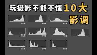 【摄影进阶教程】什么是影调？学习影调为什么那么重要？4节保姆教程一次讲清十大影调 [upl. by Donata]