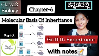 Class12 GRIFFITH EXPERIMENT ಕನ್ನಡದಲ್ಲಿ Molecular Basis of Inheritance03 NEET biostudymadeeasy [upl. by Packton]